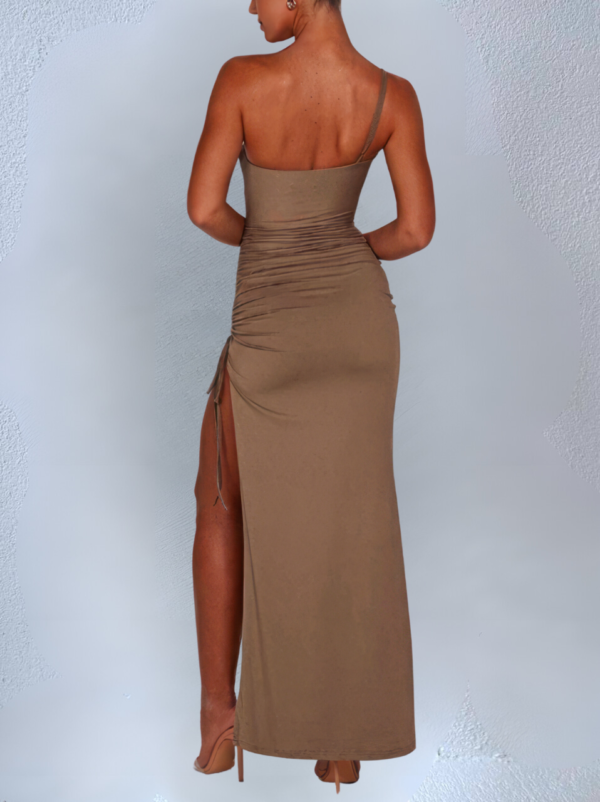 Gaia's Light Brown Maxi Dress